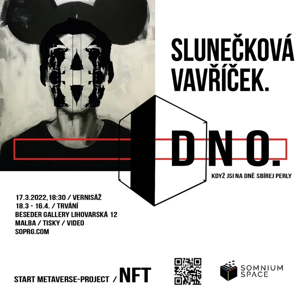 Kateřina Slunečková & Tomáš Vavříček: D N O.