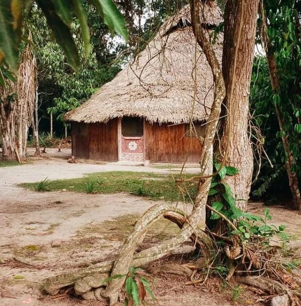 Přednáška: "Ayahuasca a šamanismus peruánské Amazonie"