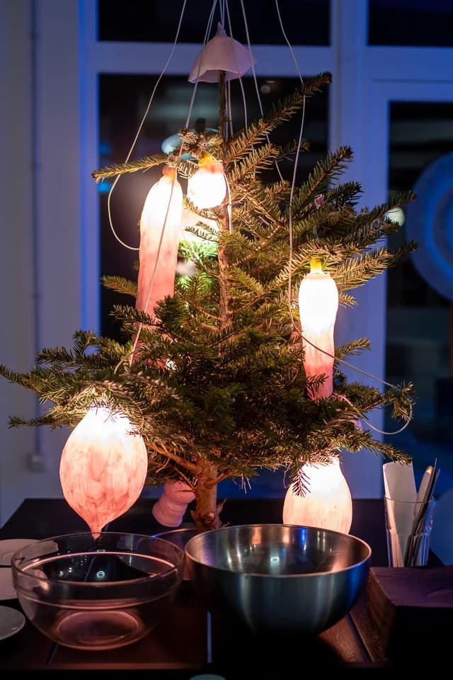 Žanda Gebauer: Bludiž světlo! - 15.12.2022