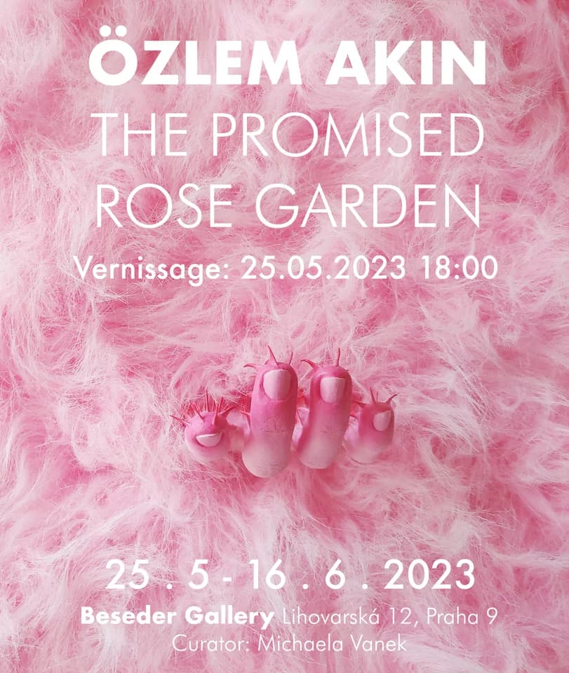 Özlem Akin - The Promised Rose Garden