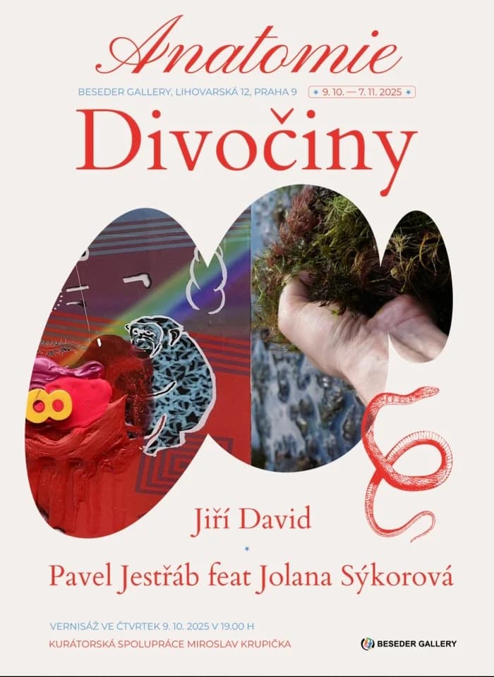 Výstava: Anatomie Divočiny