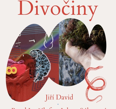Výstava: Anatomie Divočiny